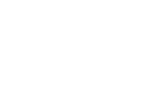 Sun and Sands Sports Logo