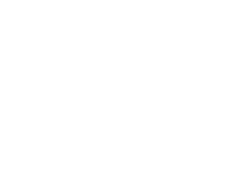 Royal Brunei Airlines Logo