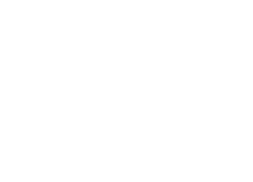 The Ritz Carlton Logo